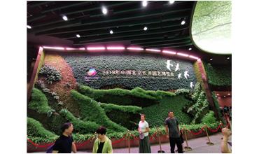 2019北京世園會，我們來啦