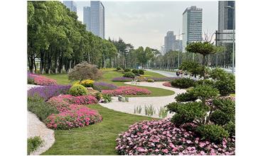 來現(xiàn)場(chǎng)打卡，感受“美麗無錫”的美好